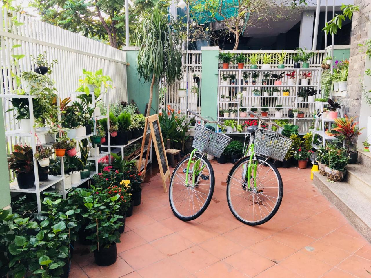 Bamboo Homestay هوي المظهر الخارجي الصورة