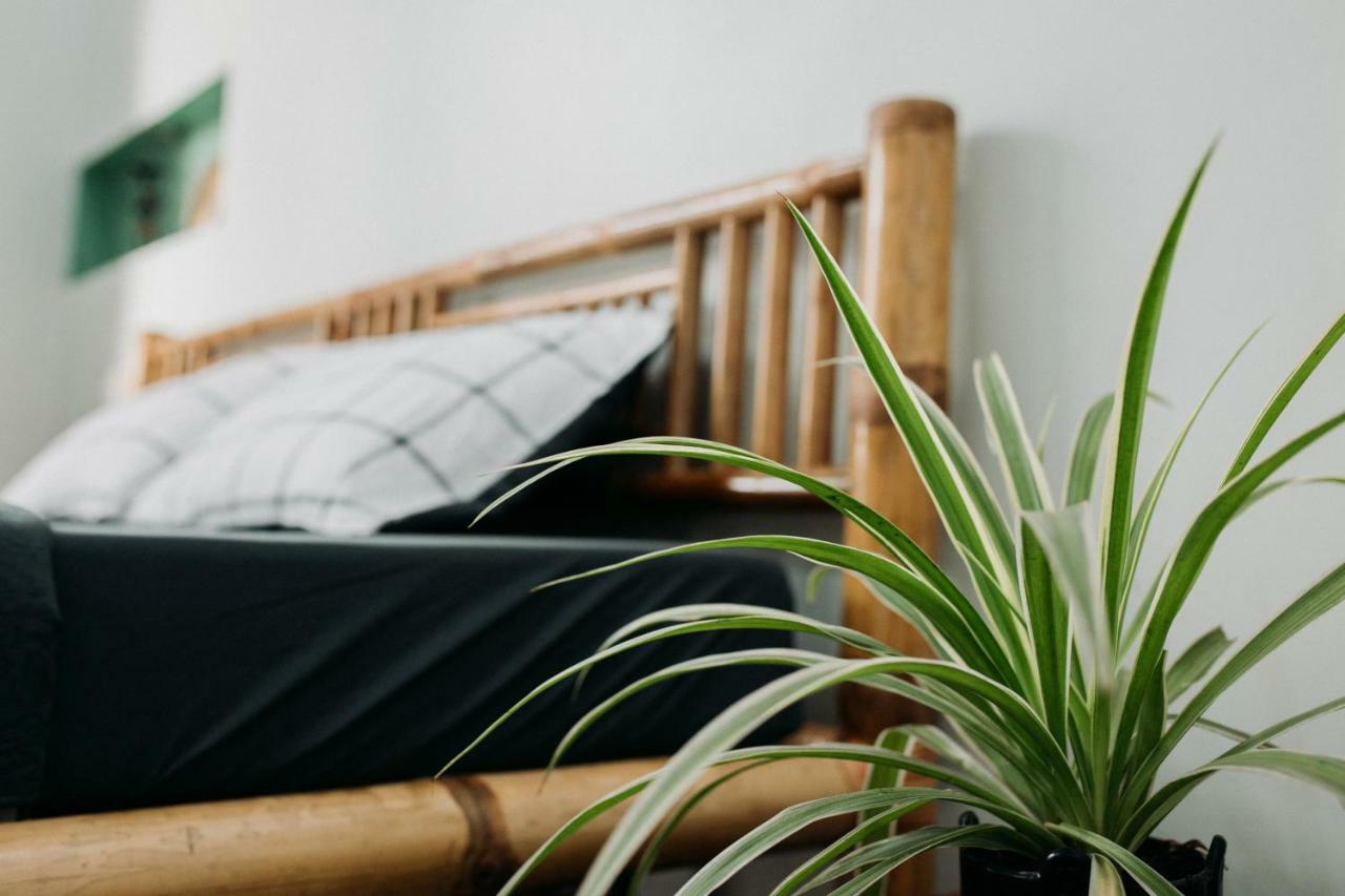 Bamboo Homestay هوي المظهر الخارجي الصورة